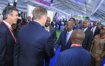 European Investors in Readiness for Africa Energy Growth
